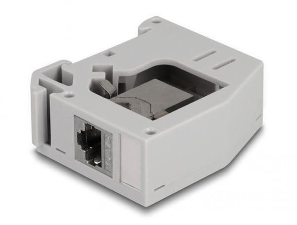Delock - Monteringsadapter for DIN-skinne - with keystone module - CAT 6a - STP - RJ-45 - grå