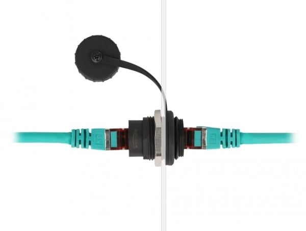 Delock - Click i -moduuli - CAT6 pölysuojalla IP67 pöly- ja vesitiivis - RJ 45 - 1 verkkopistorasia - 1 moduuli - musta