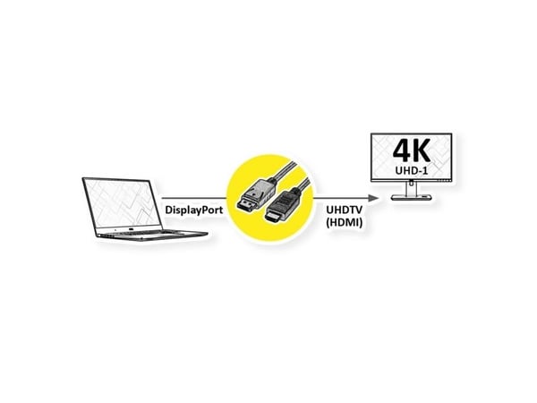 ROLINE 11045995, 1 m, DisplayPort, HDMI, Hankjønn, Hankjønn, Rett