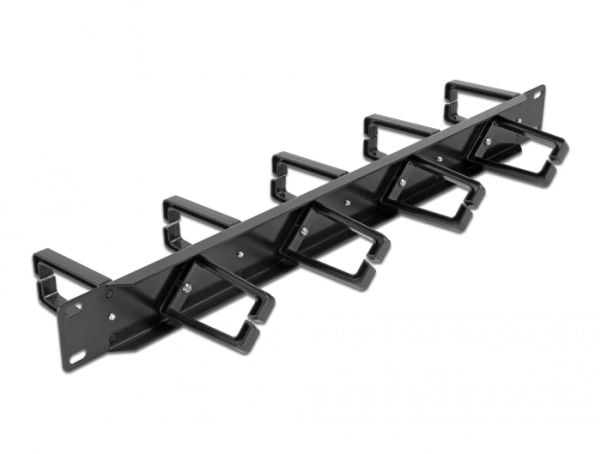 Delock - Rack cable management routing panel - both sides with 9 hooks (5 x vertical, 4 x 45° inclined) - svart - 1U - 19"