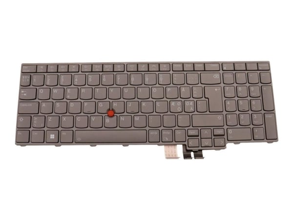 Chicony - Erstatningstastatur for bærbar PC - med Trackpoint - bakbelysning - QWERTY - Nordisk (engelsk/dansk/finsk/norsk/svensk) - grå - FRU - for...