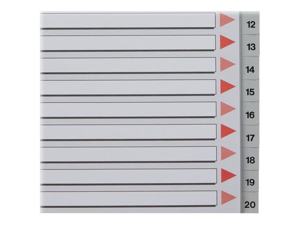 Esselte PP A4 rekisteri 1-20 harmaa - (10 sarjaa)