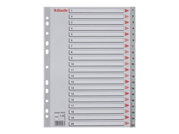 Esselte PP A4 rekisteri 1-20 harmaa - (10 sarjaa)
