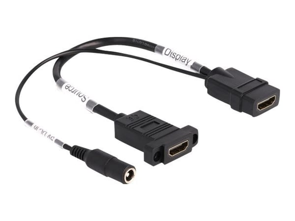 Delock - Sukupuolenvaihdin (omformer) - HDMI, DC jackstik 5,5 x 2,1 mm hun til HDMI hun - 30 cm - lajittelu - 4K60 Hz (3840 x 2160) tuki