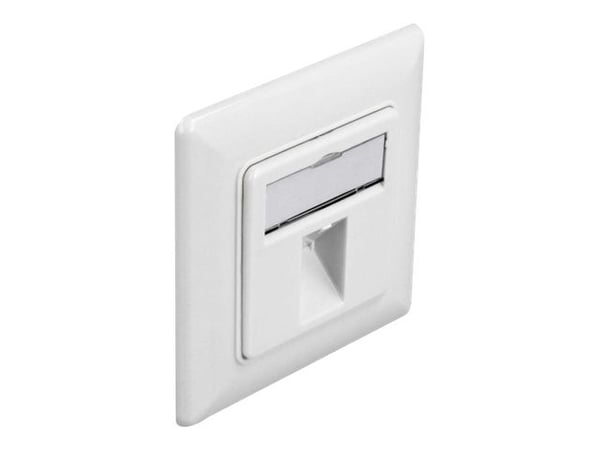 DeLOCK 86981, RJ-45, Valkoinen, 80 mm, 26 mm, 80 mm