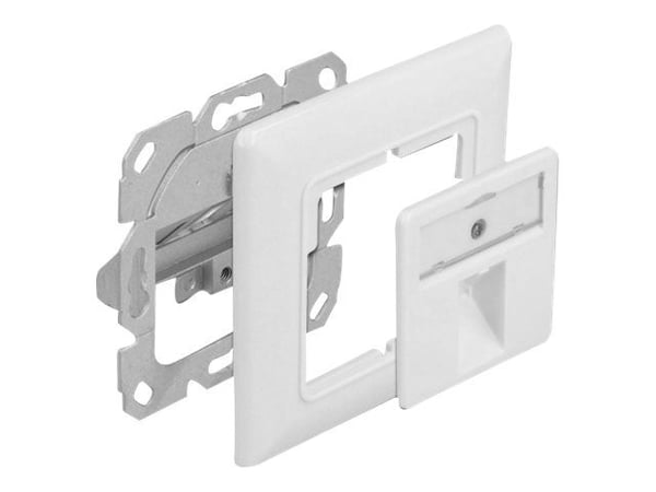 Delock - Keystone socket-outlet - with labeling window - vinklad - 1 modul - kritvit, RAL 9010