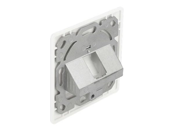 Delock - Keystone socket-outlet - with labeling window - vinklad - 1 modul - kritvit, RAL 9010