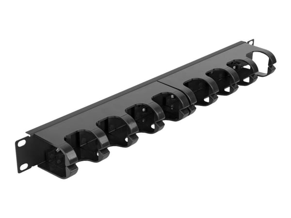 Delock - Rack cable management routing panel - with 10 closed cable routings - svart - 1U - 19"