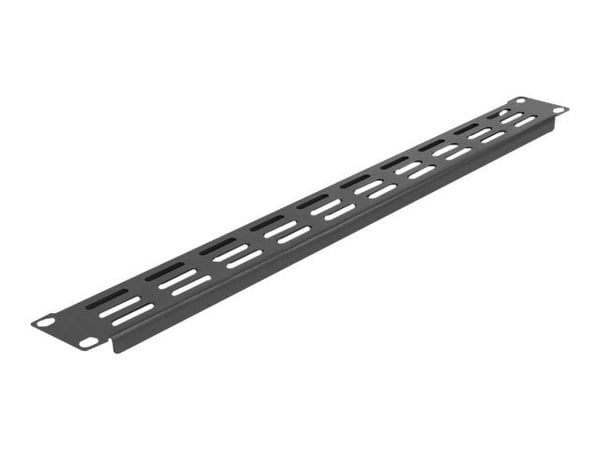 Delock - Rackpanel - svart - 1U - 19"