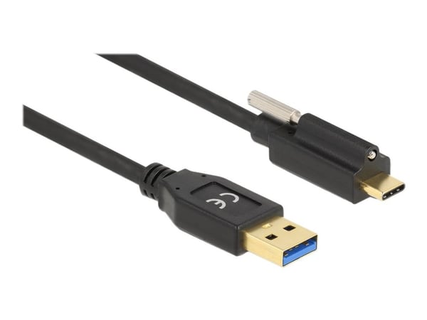 Delock - USB-kabel - USB-type A (hann) til 24 pin USB-C (hann) skrubar - USB 3.2 Gen 2 - 3 A - 50 cm - svart