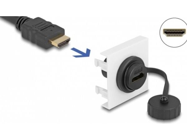 Delock - Easy 45 - trykklåsmodul - 45 x 45 mm - HDMI - 1 lyd/video-sokkel - 1 modul - hvit, RAL 9003