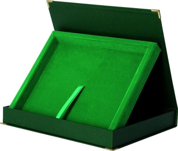 Tryumf etui i plast horisontalt i grønn - til tavle 200x150 (BTY1608/GN)