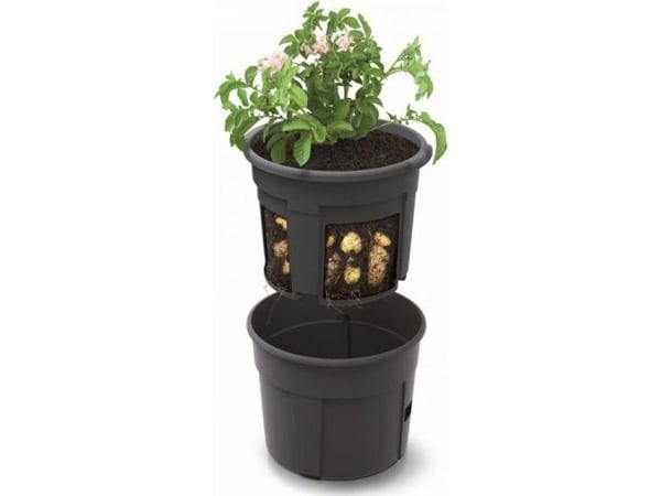 Prosperplast Bulviu-plant potte 29,5 cm