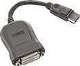 Lenovo - DVI-adapter - enkeltlenke - DisplayPort (hann) til DVI-D (hunn) - 20 cm