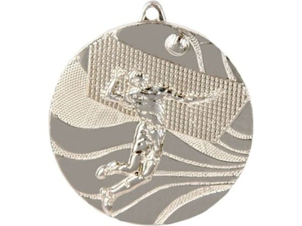 Victoria Sport Medal hopeaa - lentopallo