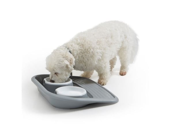 SAVIC Madbar Hund Butler