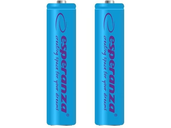 EZA101B 1000 mAh 2-pak blister