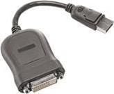 Lenovo - DisplayPort-sovitin - DisplayPort (han) til DVI-D (hun) - 20 cm