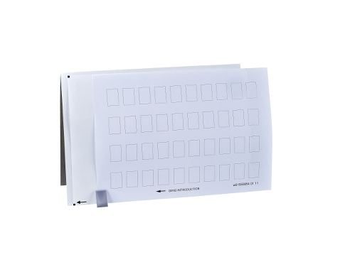 Schneider Electric ZBY5100, Muovi, Harmony XB4Harmony XB5, 44 g, 41,667 g, 215 mm, 300 mm Schneider Electric ZBY5100, Muovi, Harmony XB4Harmony XB5, 44 g, 41,667 g, 215 mm, 300 mm