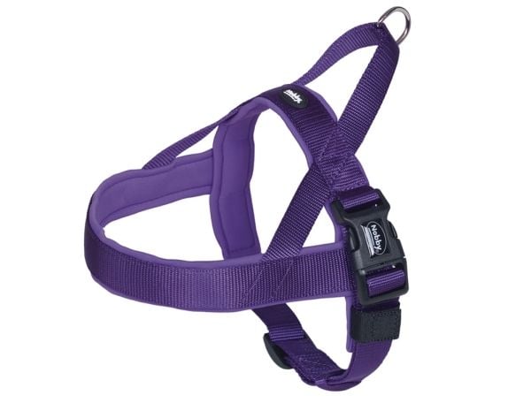 Nobby 80535-38, Hund, Seletøy som ikke drar, XL, Lilla, Nylon, Monokromatisk