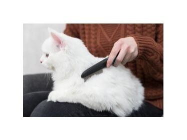 Trixie loppkam de luxe, hund