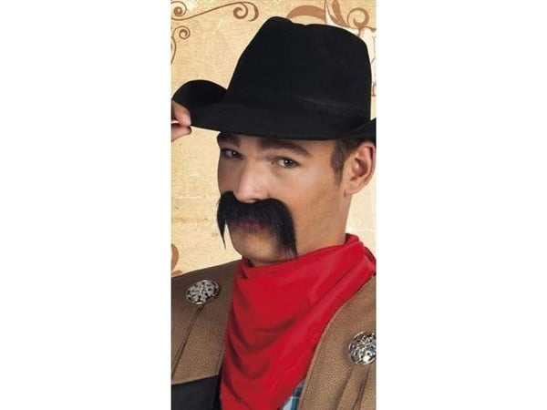 Aster Wasy cowboy univ