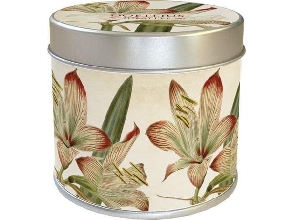 Skona Ting duftlys 202 - amaryllis - duft eple