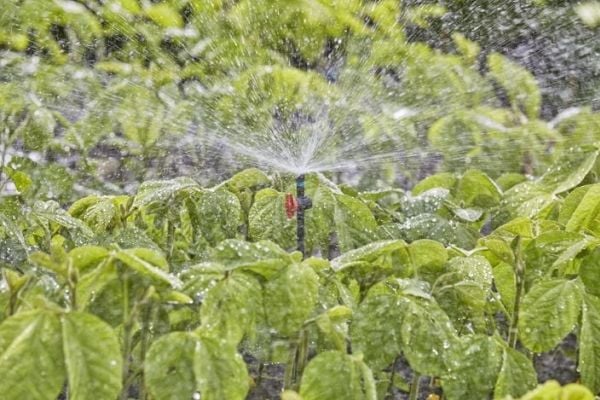 Gardena 13322-20, Pyöreä vesisprinkleri, Musta