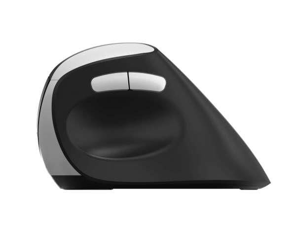 Rapoo EV250 - Vertikal mus - ergonomisk - optisk - 3 knapper - trådløs - 2.4 GHz, USB 3.0 - USB trådløs mottaker - svart