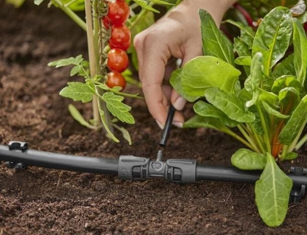 Gardena T-Joint, Ledd-tilkobling, Dryppvanningssystem, Plast, Sort, Hankjønn/hankjønn, 1 stykker
