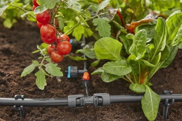 Gardena T-Joint, Ledd-tilkobling, Dryppvanningssystem, Plast, Sort, Hankjønn/hankjønn, 1 stykker