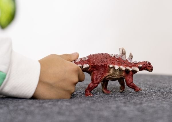 Schleich Gastonia