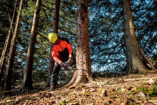 Metabo MS 36-18 LTX BL 40 - Motorsag - trådløs - 18 V - uten batteri, ingen lader - 40 cm - kuttekapasitet: 360 mm - 3.2 kg - SOLO