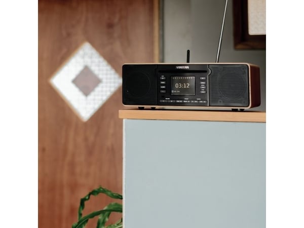 Sangean DDR-66BT, Personlig, Digitalt, DAB+, FM, 14 W, AAC, MP3, RealAudio, SBC, WMA, apt-X, 8 O