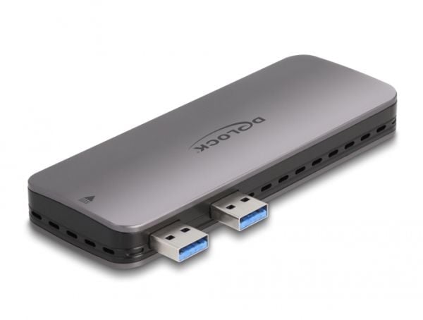 Delock - Drevkabinett - M.2 - NVMe PCIe - PCIe, SATA, USB 3.2 (Gen 2)