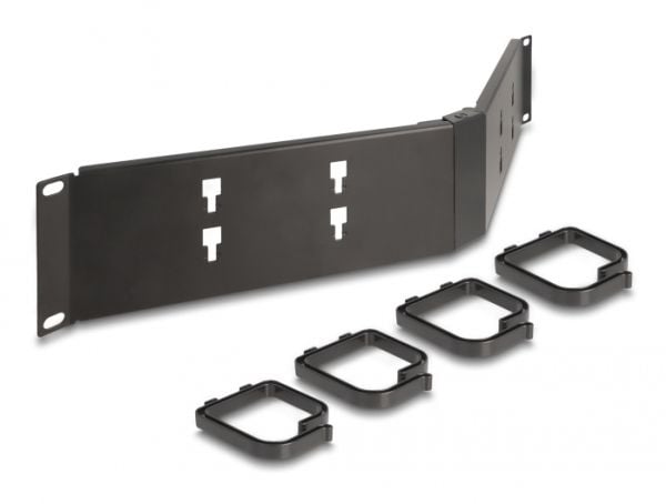 Delock - Rack cable management routing panel - with 4 hooks, angled - black (RAL 9005) - 2U - 19"