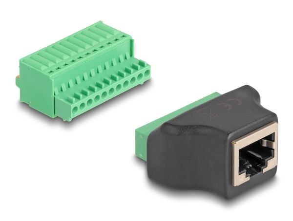 Delock - Nettverksadapter - RJ-50 (hunn) til 11-pinners terminalblokk - STP - 2,54 mm stigning, stifttilordning: 1:1 - svart/grønn