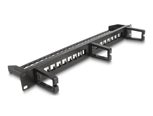 Delock - Koblingspanel - with 3 hooks, strain relief - skapmonterbar - svart - 1U - 19" - 16 porter