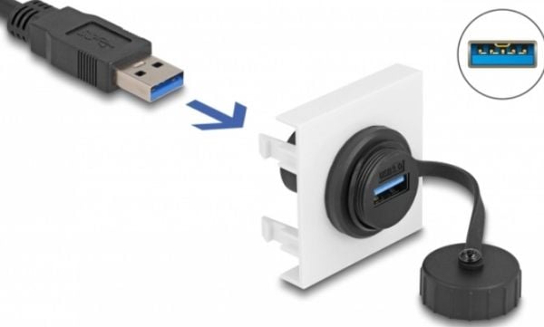 Delock - Easy 45 - trykklåsmodul - SuperSpeed 5 Gbps (3.2 Gen 1) Type-A female, 45 x 45 mm - USB - svart, hvit, RAL 9003