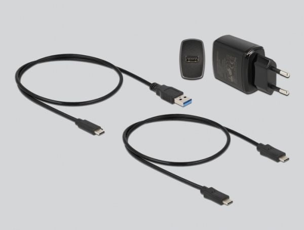Delock M.2 dockingstasjon for 2 x M.2 SATA SSD med klonefunksjon