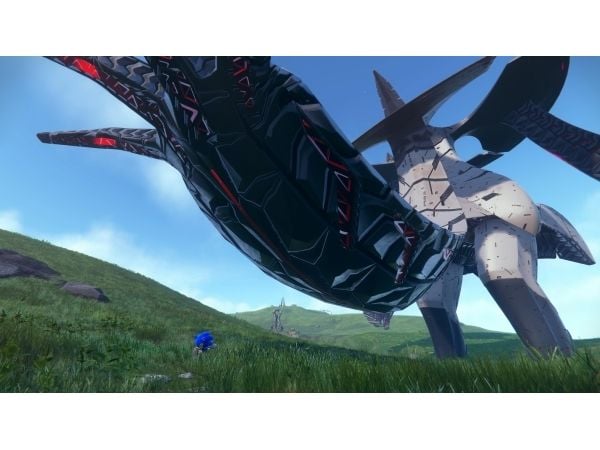 Sega SW soniske vegger