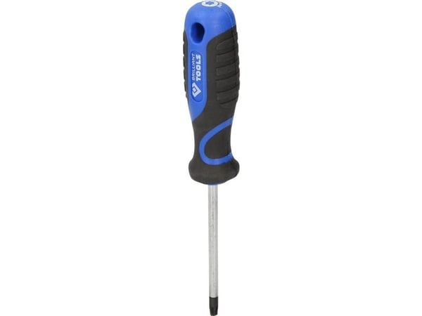 Brilliant Tools BT034910 Torx-skrutrekker T 30 bitslengde 100 mm, 1 stk