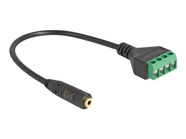 Delock - Audioadapter - 2,5 mm 4-stifts stereokontakt hunn til 4-pins terminalblokk - 20 cm - svart - flertrådet, 2,54 mm stigning, stripped ends