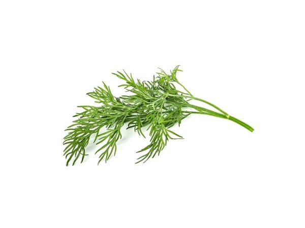 Click & Grow SGR49x3, Syötävä kasvi, Tilli, Täyttöpakkaus, Kasvaa nopeasti (3–5 viikkoa), 7 - 14 päivää, 1 - 2 kuukautta
