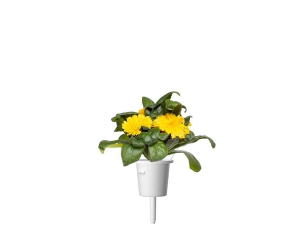 Click &amp; Grow siemenet smart pottiin - Medetkos, 3kpl.