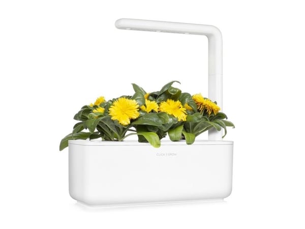Click &amp; Grow siemenet smart pottiin - Medetkos, 3kpl.