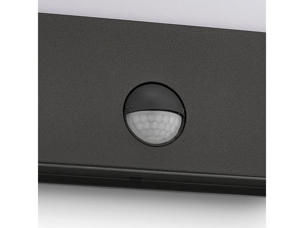 Philips myGarden Raccoon-vegglampe, 4 W, Vegglys, Antrasitt, Metall, IP44, Hage, Terrasse, II