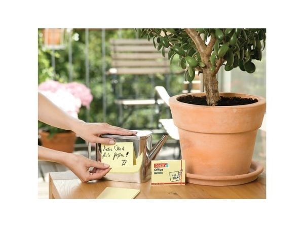 TESA 57656, Rectandel, Gul, 50 mm, 75 mm, 100 ark