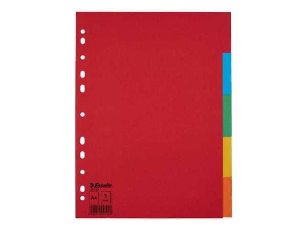 Esselte COLOUR PADES A4 5 korttia ilman kuvauskorttia - 100199