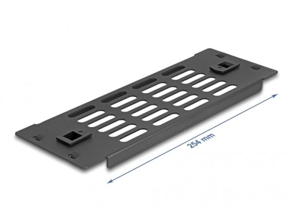 Delock - Rackpanel - with ventilation slots, tool free - svart - 2U - 10"